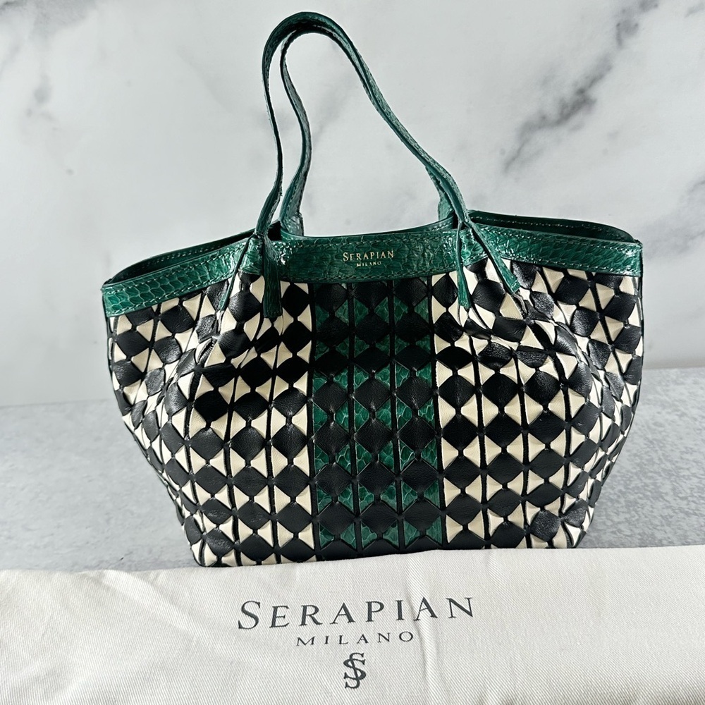 Serapian Mini Secret Bag in Mosaico Elaphe